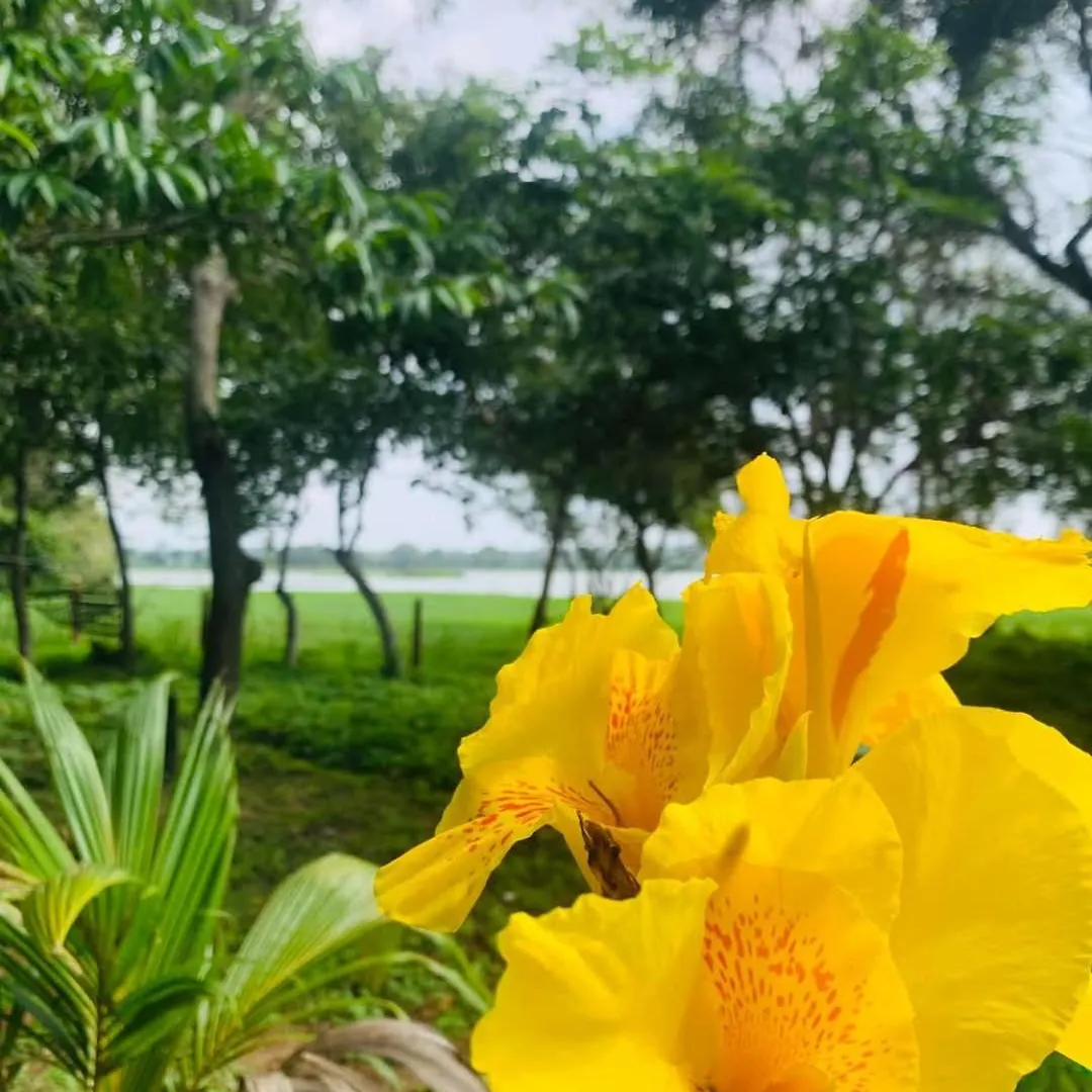 Lake Front Cottage And Restaurant Home Stay With Transport Sigiriya 0*,  Sri Lanka