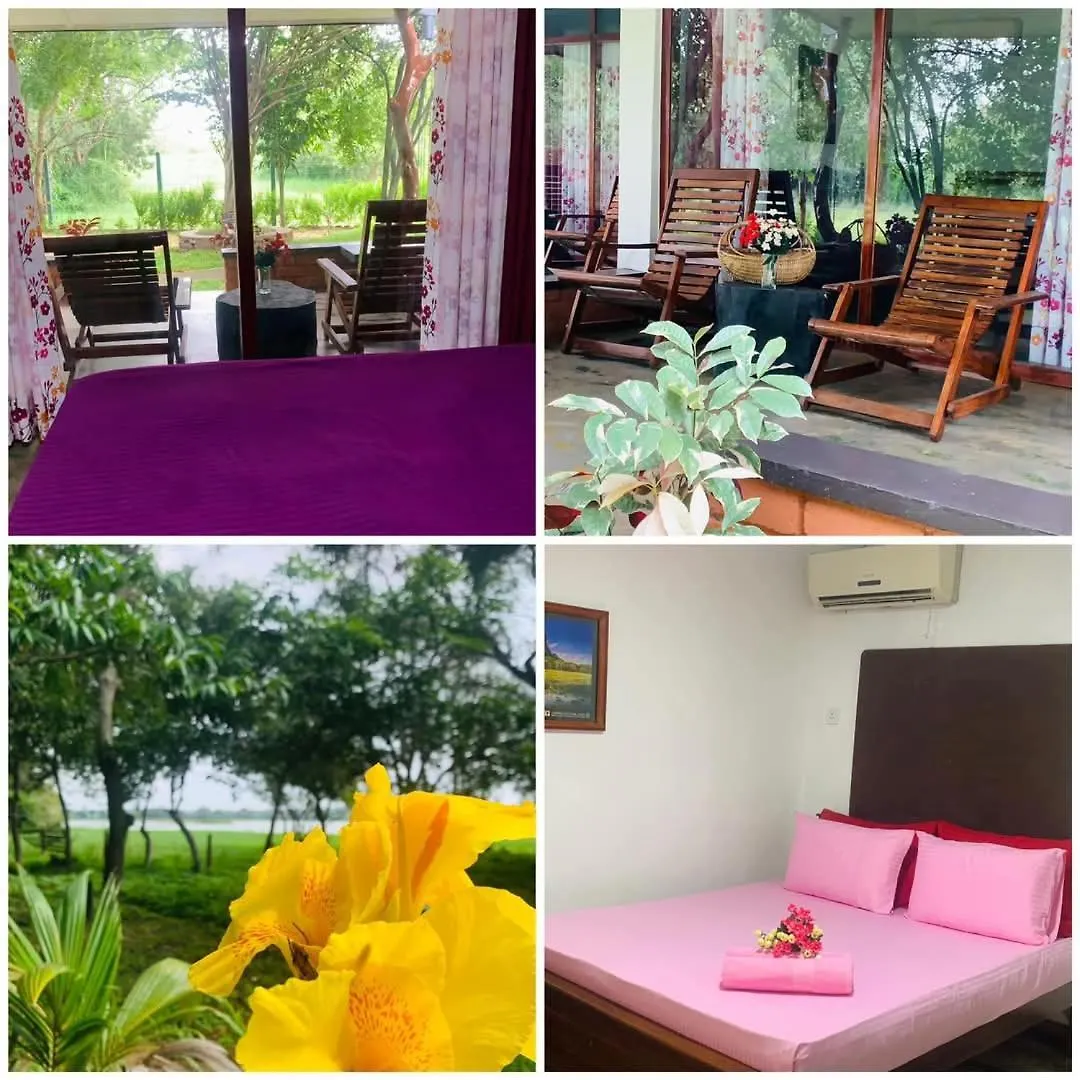 Lake Front Cottage And Restaurant Home Stay With Transport Sigiriya