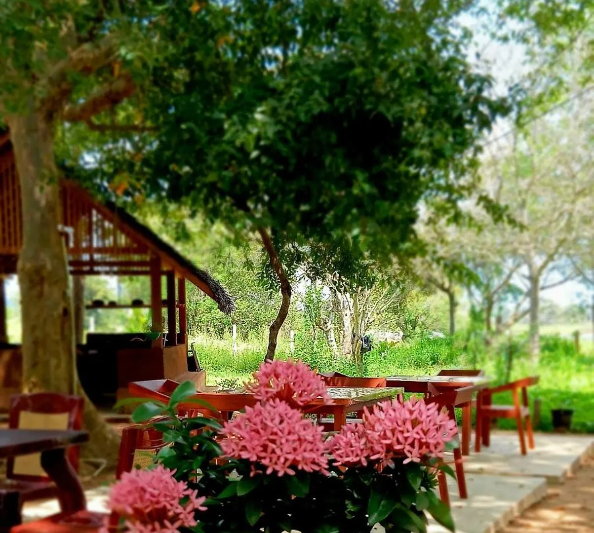 Hotel Lake Front Cottage And Restaurant Home Stay With Transport Sigiriya